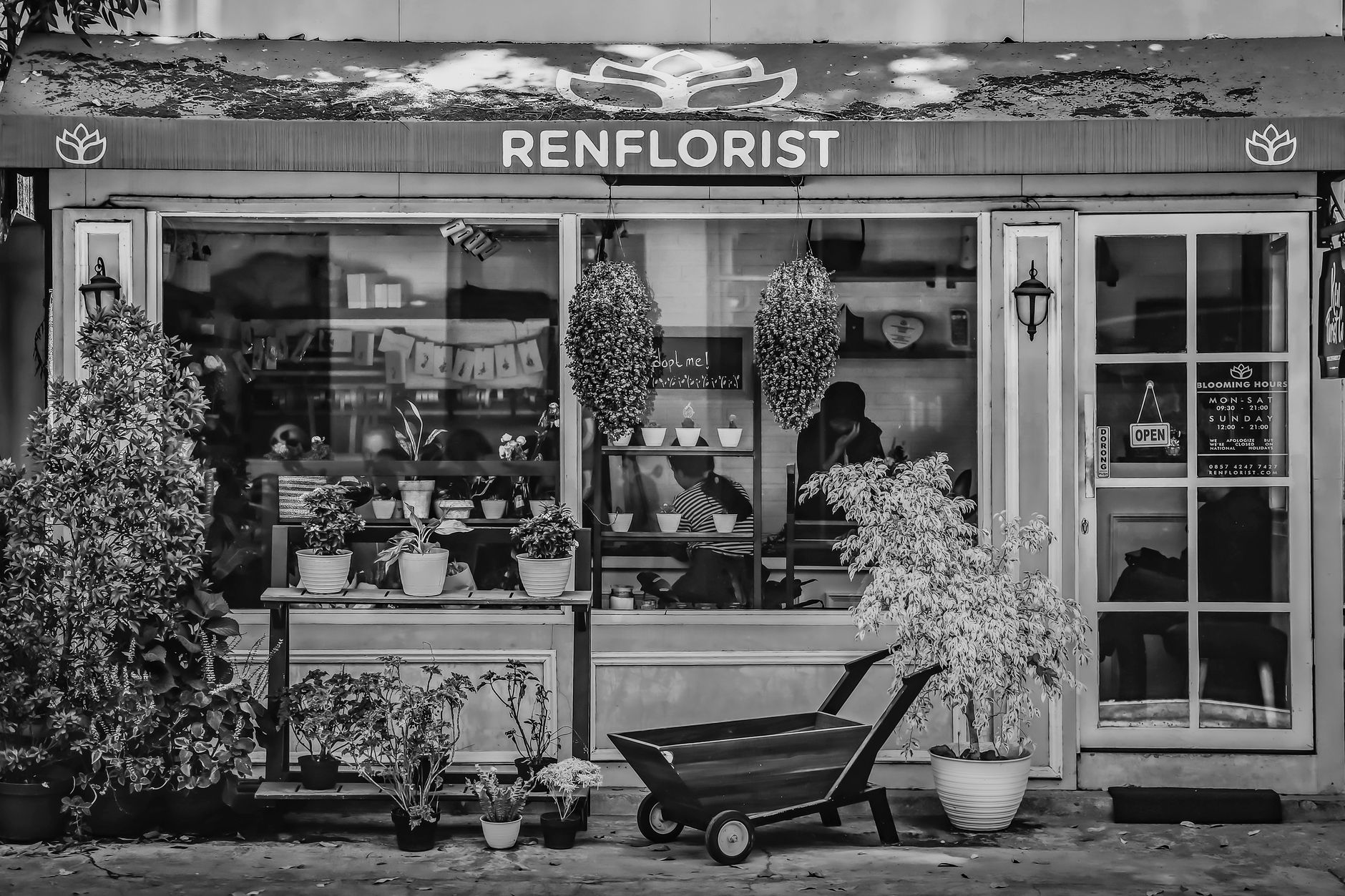 Fleuriste à Dax